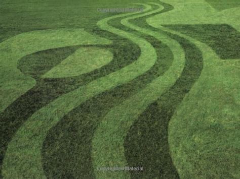 Lawnscapes Mowing Patterns To Make Your Yard A Work Of Art By David
