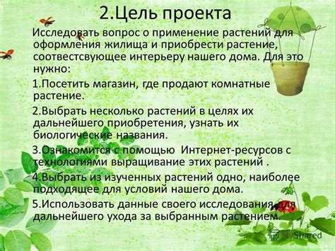 Как делать проект по технологии 6 класс