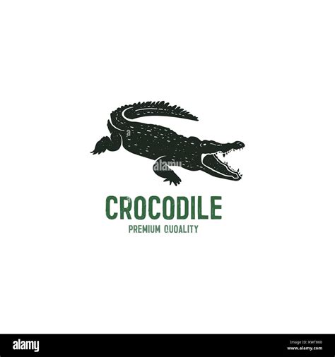 What Is The Story Behind The Lacoste Alligator Logo Quora Atelier
