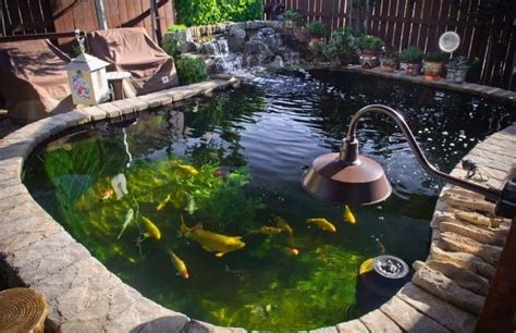 Ciri ciri ikan cupang siap kawin √ 6 Cara Membuat Filter Kolam Ikan Sederhana Untuk Pemula