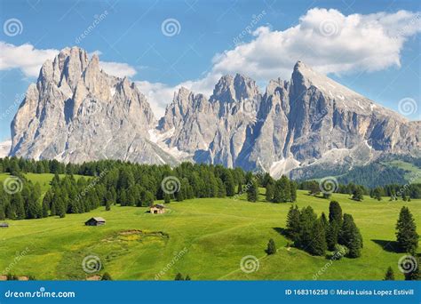 Sassolungo And Sassopiatto Mountains From Alpe Di Siusi Or Seiser Alm