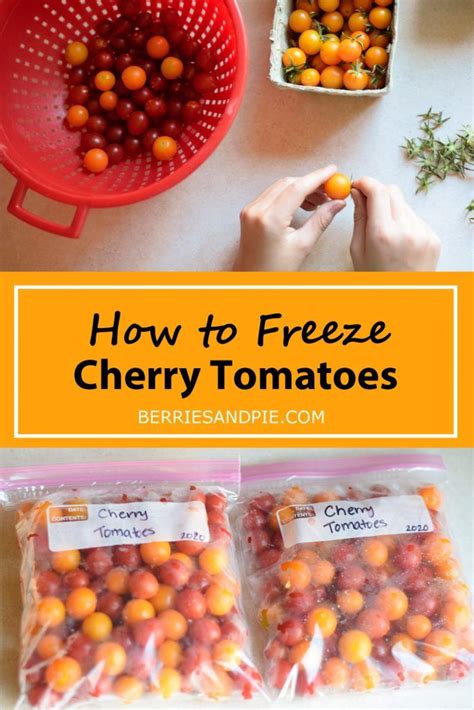 Freezing Cherry Tomatoes An Easy Way To Preserve The Harvest