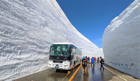 2 Day Tour Impressive Snowy Otani And World Heritage Sites