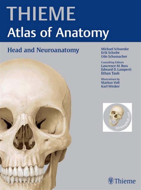 Thieme Atlas Of Anatomy Head And Neuroanatomy