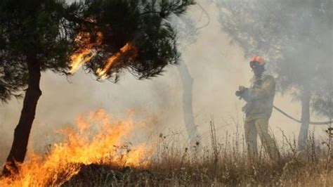 O αντιδήμαρχος χάρης σπηλιόπουλος, επισημαίνει, ότι «η κατάσταση είναι πάρα πολύ δύσκολη σε όλο τον δήμο της αρχαίας ολυμπίας και ένα άλλο μέτωπο της φωτιάς 'ανεβαίνει' προς τις κοινότητες». ΜΕΡΕΣ 2007 ΣΤΗΝ ΗΛΕΙΑ - ΞΑΝΑΚΑΙΓΕΤΑΙ ΤΟ ΙΔΙΟ ΧΩΡΙΟ - ΟΙ ...