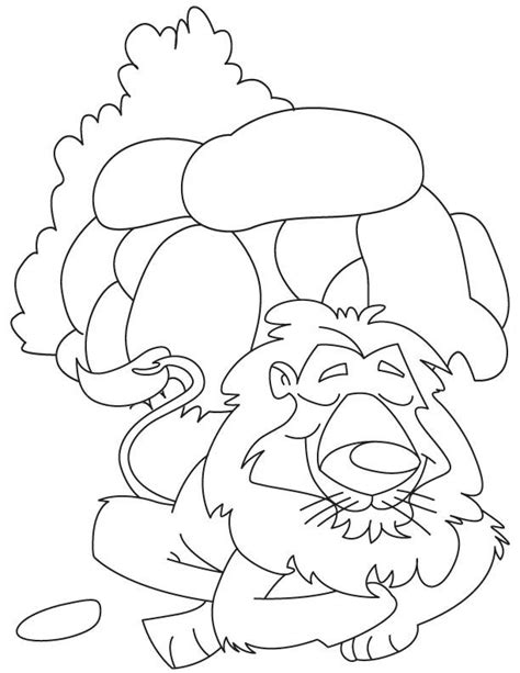 Lion lives in den coloring page | Coloring pages, Lion and the mouse