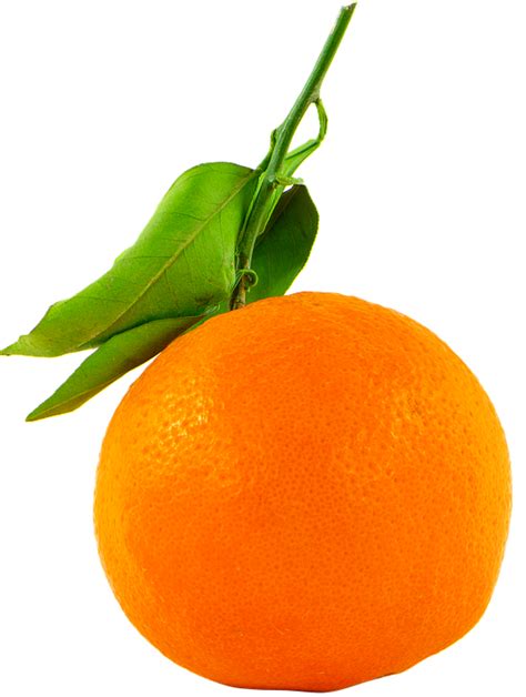 Fruit Orange Transparent · Free Photo On Pixabay