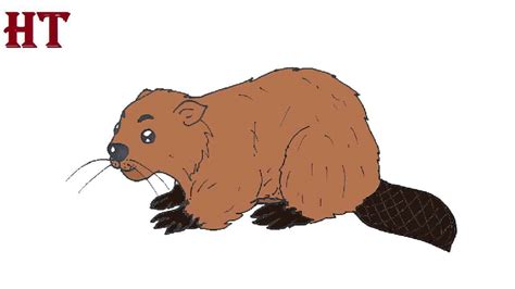 Beaver Drawing Easy For Beginners