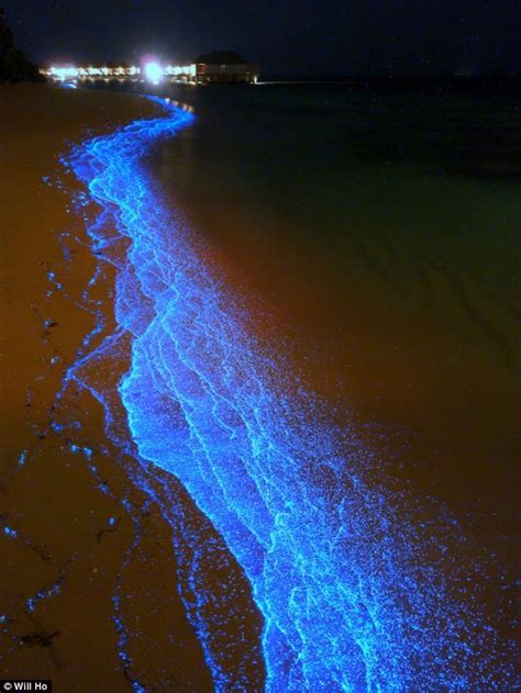 Bioluminescent Waves Light Up A Maldives Beach Places To Travel