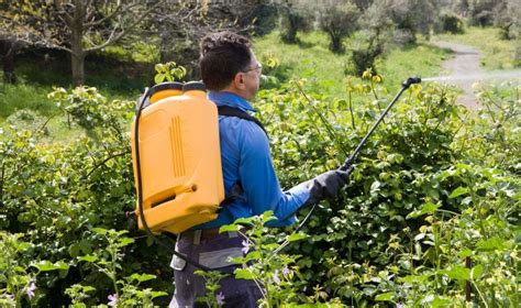 Best Backpack Sprayer Reviews And Buying Guide Spray Advisor