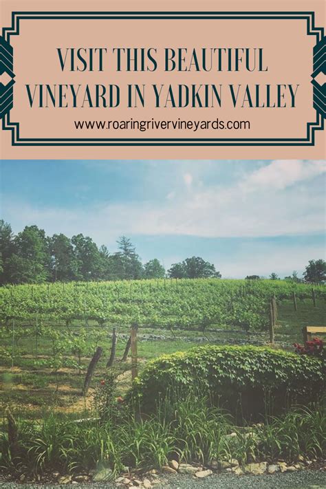 Yadkin Valley Winery Roaring River Vineyards Vineyard State Parks