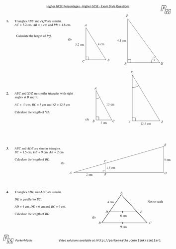 Inscribed angle theorem if an angle is inscribed in a circle, then the measure of the angle. 50 Similar Figures Worksheet Answer Key | Chessmuseum ...