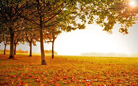 15 Reason Why Fall Is The Best Season Of All Autumn Landscape