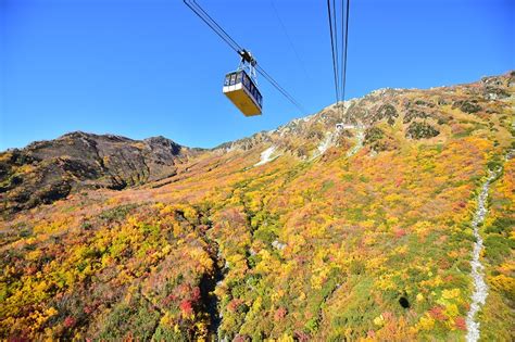 The Tateyama Kurobe Alpine Route Naganos Most Popular Sightseeing