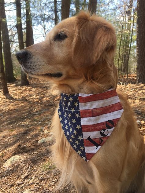 American Flag Personalized Dog Bandana Flag Bandana With Etsy