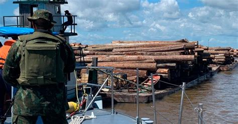 Marinha Apreende 1 Mil Toras De Madeira Sem Nota Fiscal Na Foz Do Rio Tocantins No Pará ~ Socel