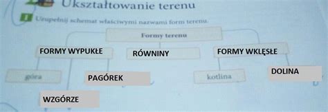 Uzupełnij Schemat Nazwami Epok Prehistorycznych I Historycznych - Uzupełnij schemat właściwymi nazwami form terenu. Proszę - Brainly.pl