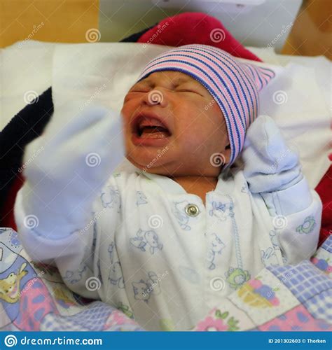 Crying Newborn Baby Boy Stock Image Image Of Health 201302603