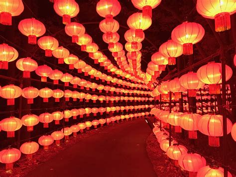 Lantern Festival The Most Gorgeous Festival In Kentucky The Magical