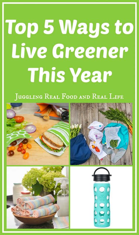 Top Ways To Live Greener This Year