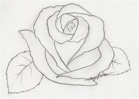 Rose Pencil By Amourdefraise On Deviantart