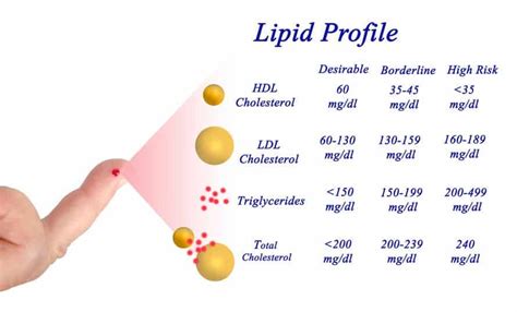 Ldl Cholesterol The Bad Cholesterol Explained