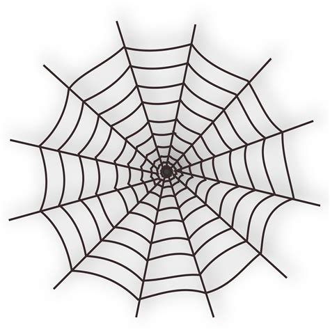 Spider Web Cartoon