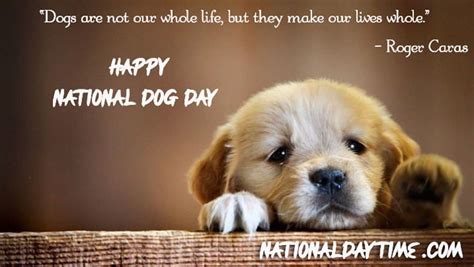 National Dog Day 2023 Best Cute And Loving Dog Day Captions For