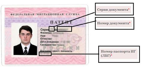 Об этом сообщается в блоге на персональном сайте мэра. Получение патента на работу в 2021. Оплата, продление ...