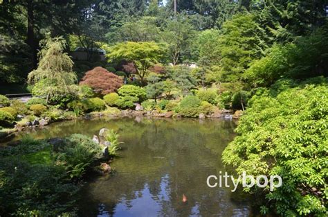 10 Best Things To Do At Portland Japanese Garden Citybop