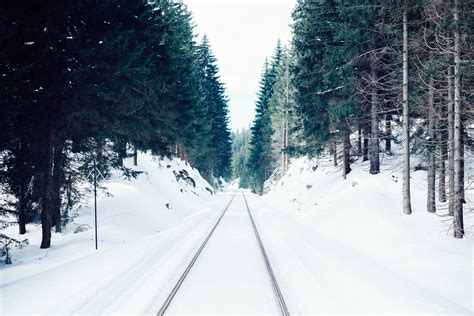 無料画像 木 冬 天気 シーズン ウィンタースポーツ 履物 猛吹雪 凍結 ノルディックスキー 7360x4912