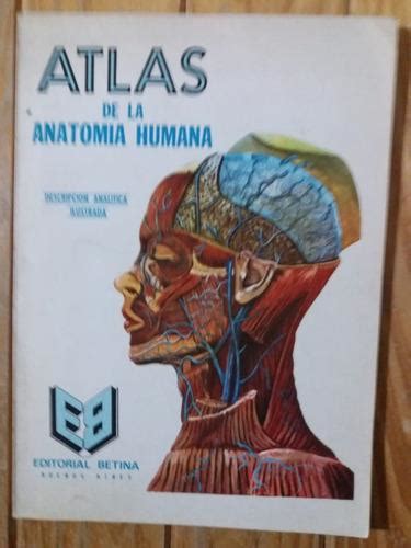 Atlas Humano Anatomia Barnebys