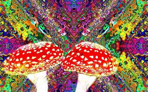 Visual Changes With The Use Of Amanita Muscaria