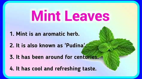 10 Lines On Mint Few Sentences About Mint Leaves In English About