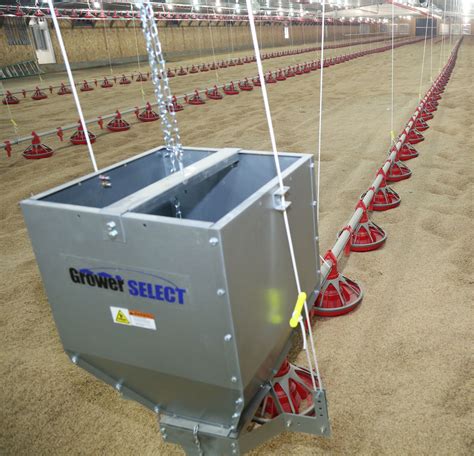 Feed: Poultry Feed Delivery System