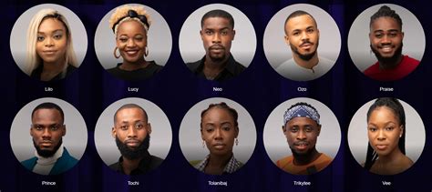 Big brother 22 (us),also known as big brother: Big Brother Naija 2020 Housemates Names and Pictures ...