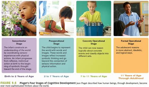 Cognitive Development Human Development