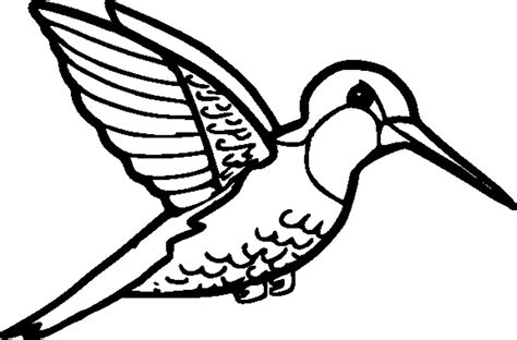 Hummingbird coloring pages for kids are winged creatures local to the americas and comprising the natural family trochilidae. Hummingbird Drawing Free at GetDrawings | Free download