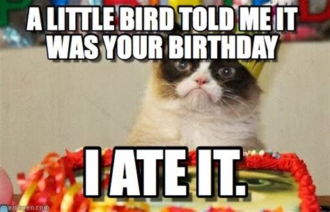 Collect The Luxury Funny Birthday Memes With Angry Cat