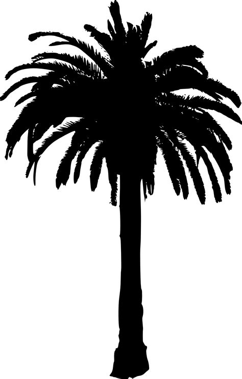 Cool Palm Tree Drawing Black And White Beads By Laura