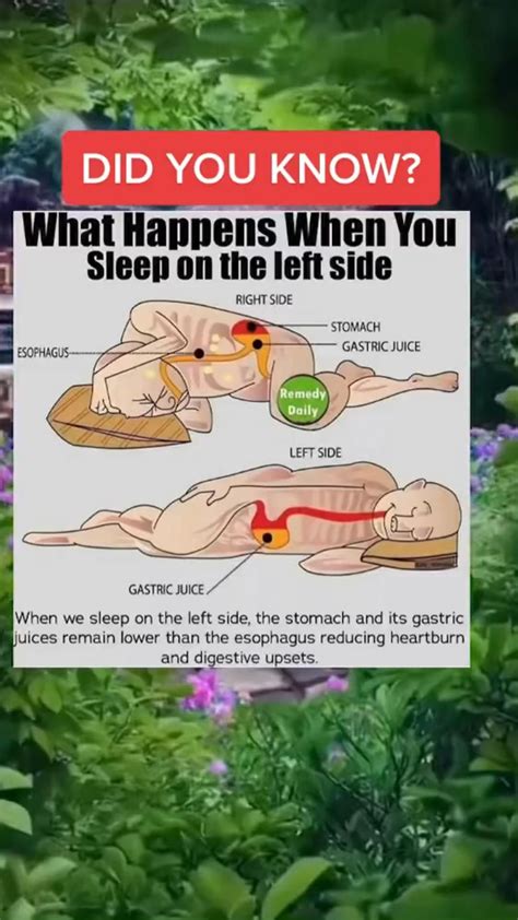 Sleeping Wrong Sleeping On Your Left Side How To Sleep Properly Healthy