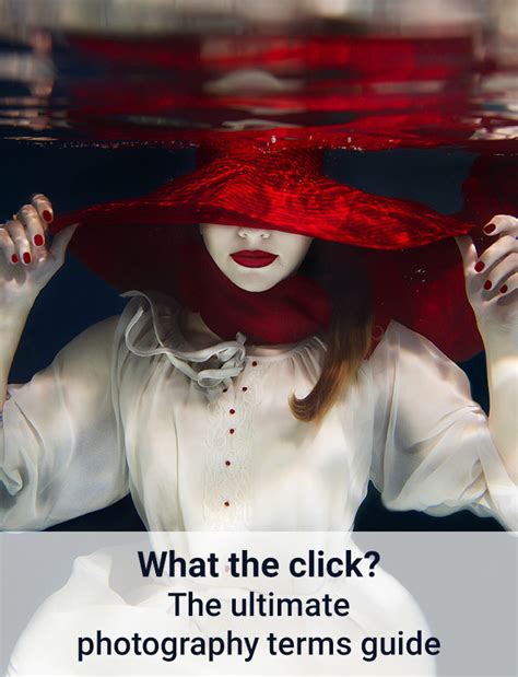 Photography terms - the ultimate reference guide for photographic art