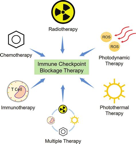 The Combination Of Immune Checkpoint Blockade Therapy Icbt With