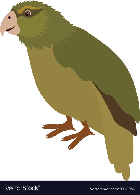Kakapo Bird Icon Royalty Free Vector Image Vectorstock
