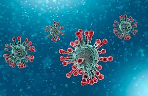 The virus is very serious, please follow the. Coronavirus (COVID-19): scientific evidence supporting the ...