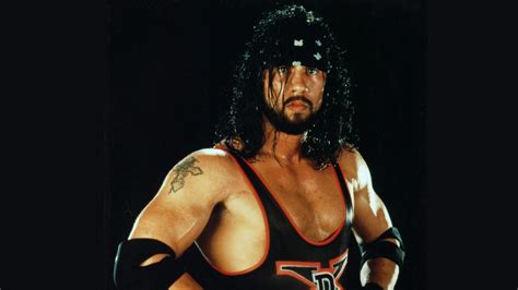 Sean Waltman On Triple H S Reaction When He Started Dating Chyna Their Sex Tape Chyna In WWE