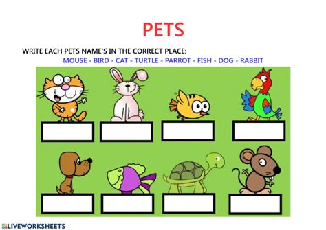Pets Writing Vocabulary Interactive Worksheet
