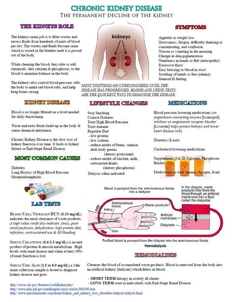 Chronic Kidney Disease Patient Education Handout Dialysis Nurse