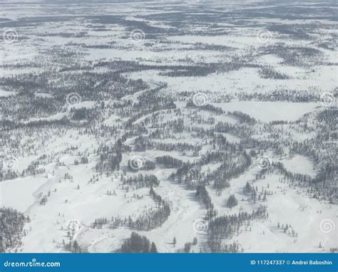 Arctic Tundra Stock Image Image Of Tundra Trees Aerial 117247337
