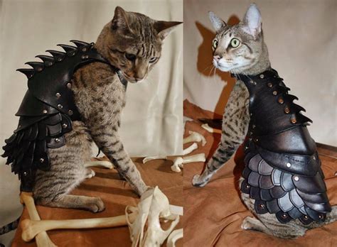 Battle Armor For Cats Mallninjashit
